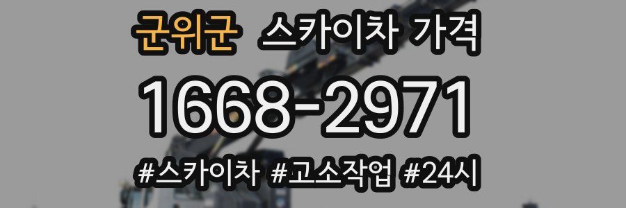 군위군 스카이차 가격