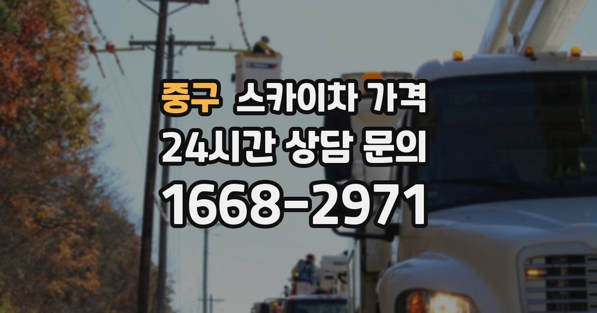 중구 스카이차 가격