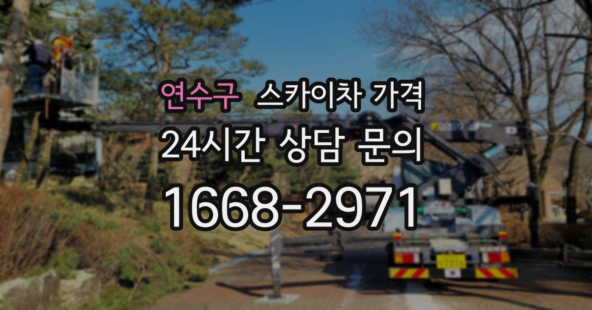 연수구 스카이차 가격