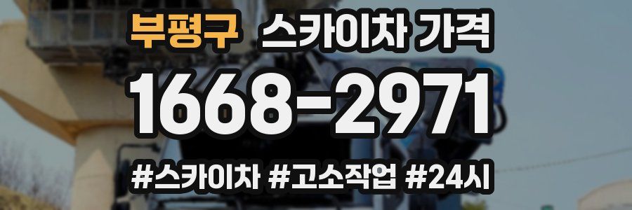 부평구 스카이차 가격