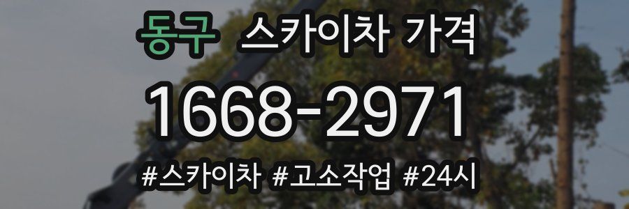 동구 스카이차 가격