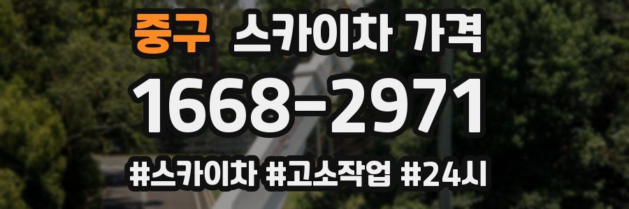 중구 스카이차 가격