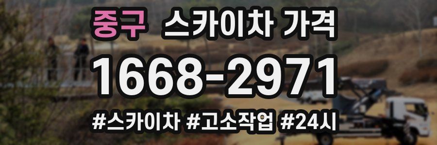 중구 스카이차 가격