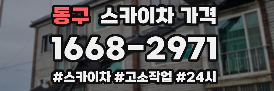 동구 스카이차 가격