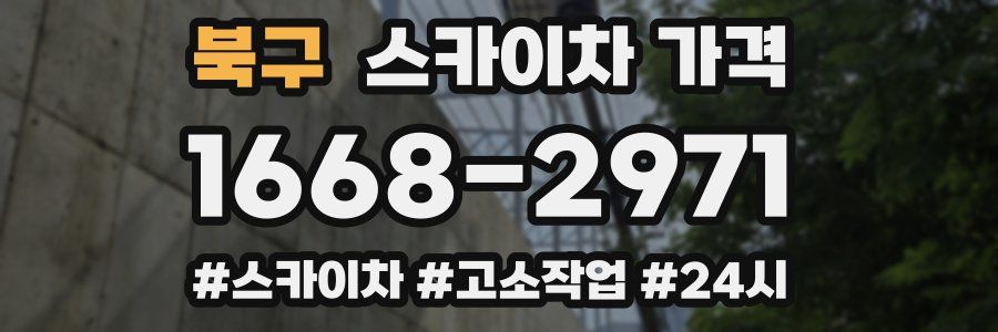 북구 스카이차 가격