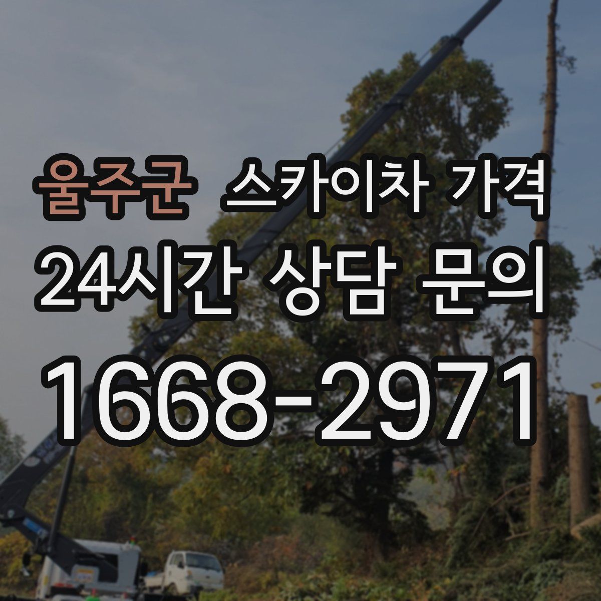 울주군 스카이차 가격