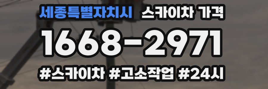 세종특별자치시 스카이차 가격