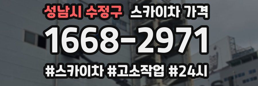 성남시 수정구 스카이차 가격