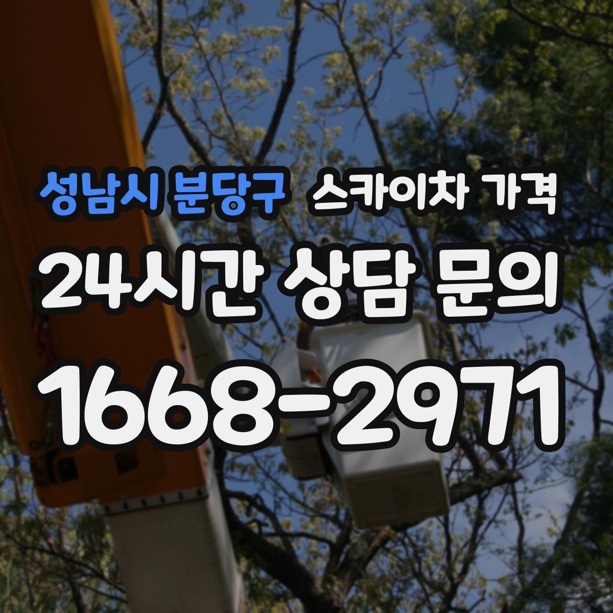 성남시 분당구 스카이차 가격