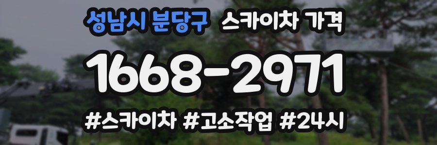 성남시 분당구 스카이차 가격