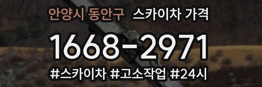 안양시 동안구 스카이차 가격