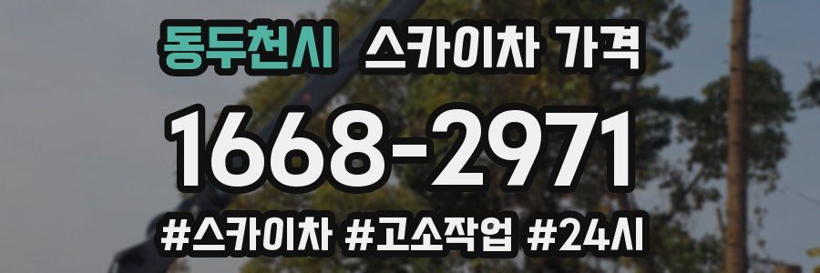 동두천시 스카이차 가격