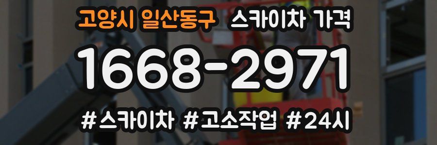 고양시 일산동구 스카이차 가격