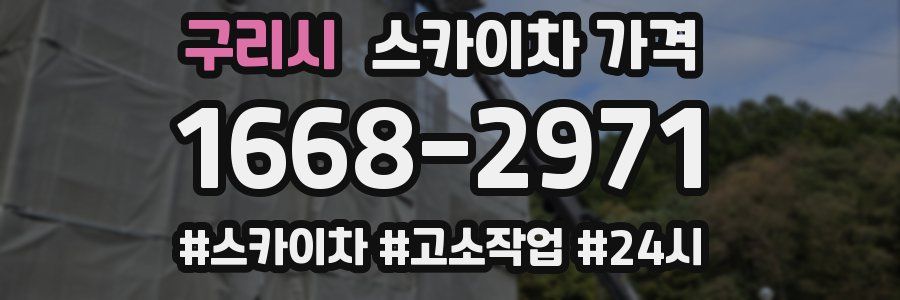 구리시 스카이차 가격