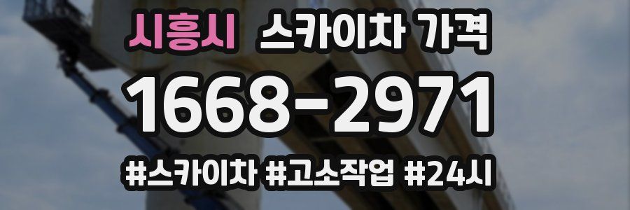 시흥시 스카이차 가격