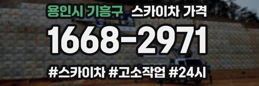 용인시 기흥구 스카이차 가격