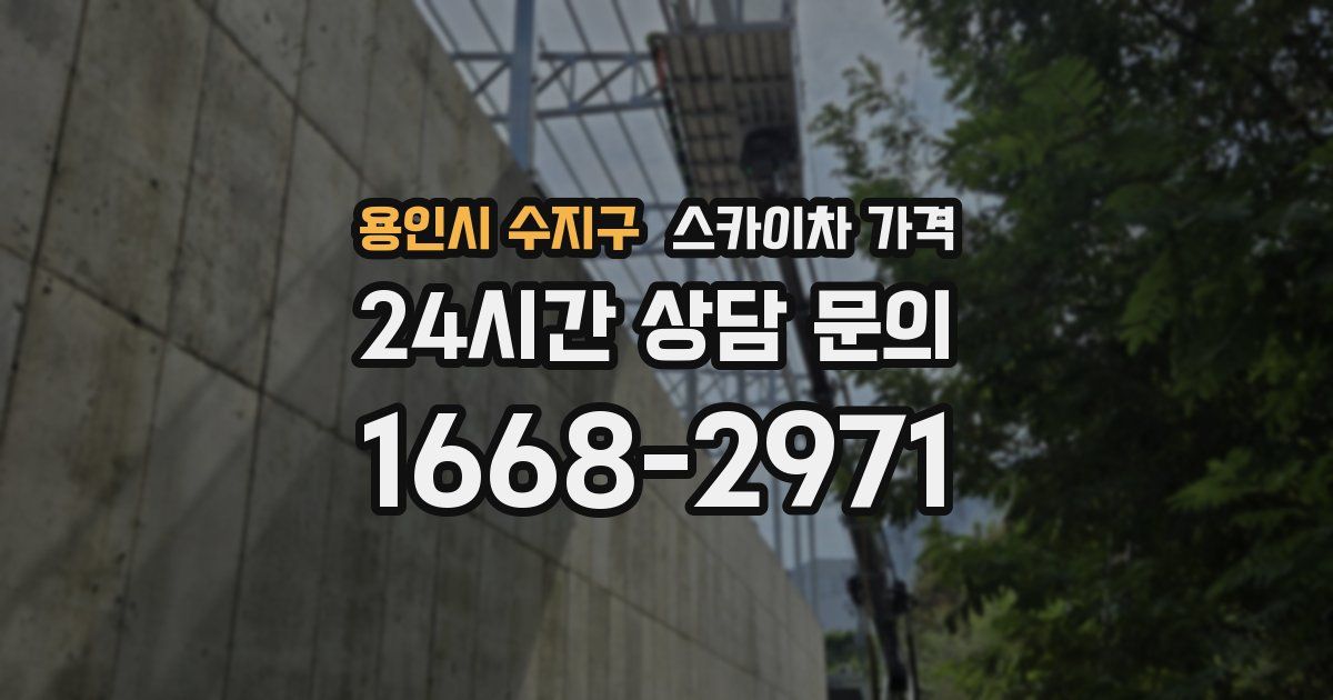 용인시 수지구 스카이차 가격