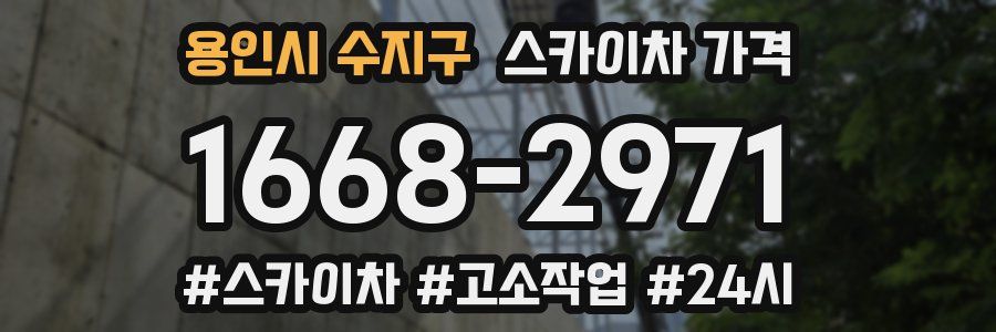 용인시 수지구 스카이차 가격