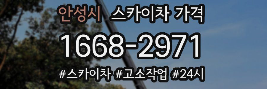 안성시 스카이차 가격