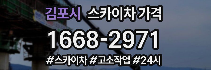 김포시 스카이차 가격