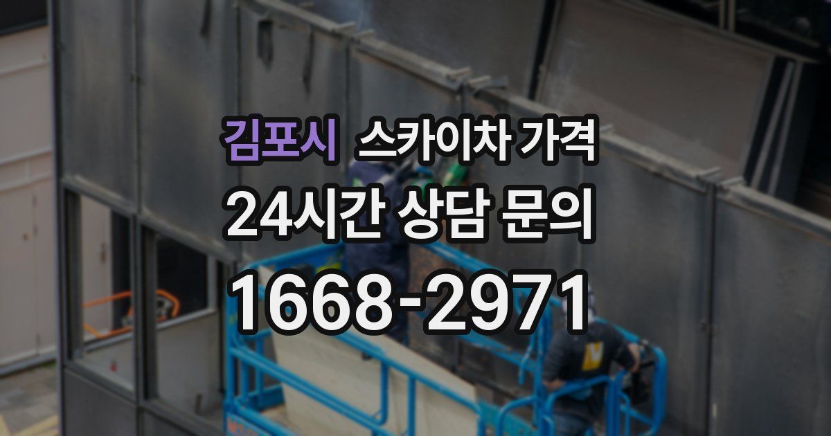 김포시 스카이차 가격