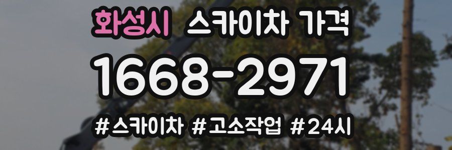 화성시 스카이차 가격