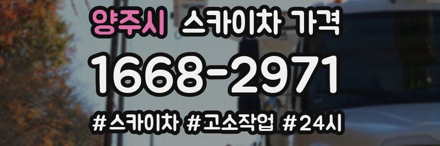 양주시 스카이차 가격