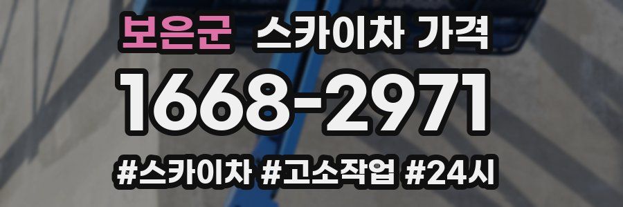 보은군 스카이차 가격