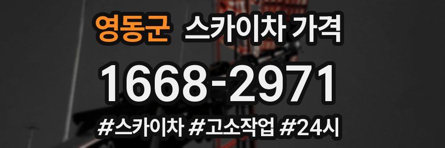 영동군 스카이차 가격