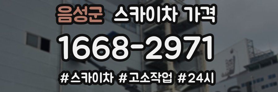 음성군 스카이차 가격