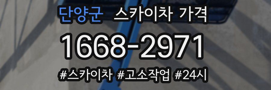 단양군 스카이차 가격