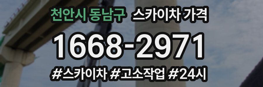 천안시 동남구 스카이차 가격