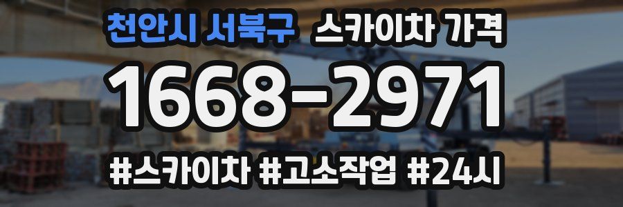 천안시 서북구 스카이차 가격