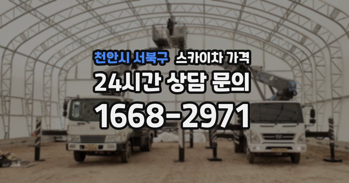 천안시 서북구 스카이차 가격