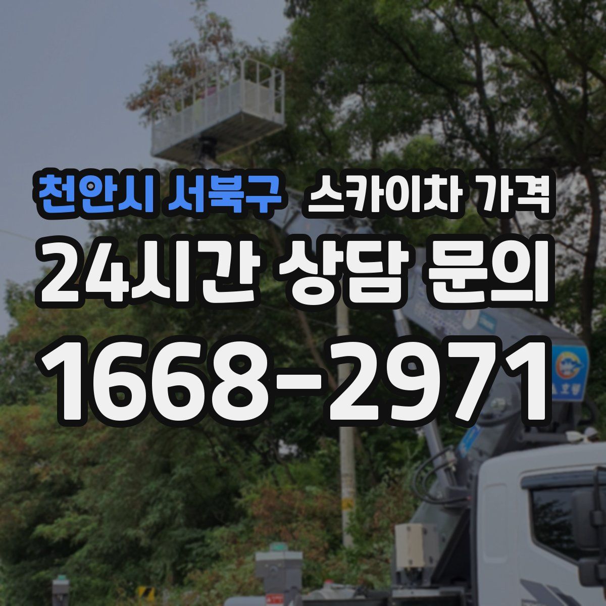 천안시 서북구 스카이차 가격