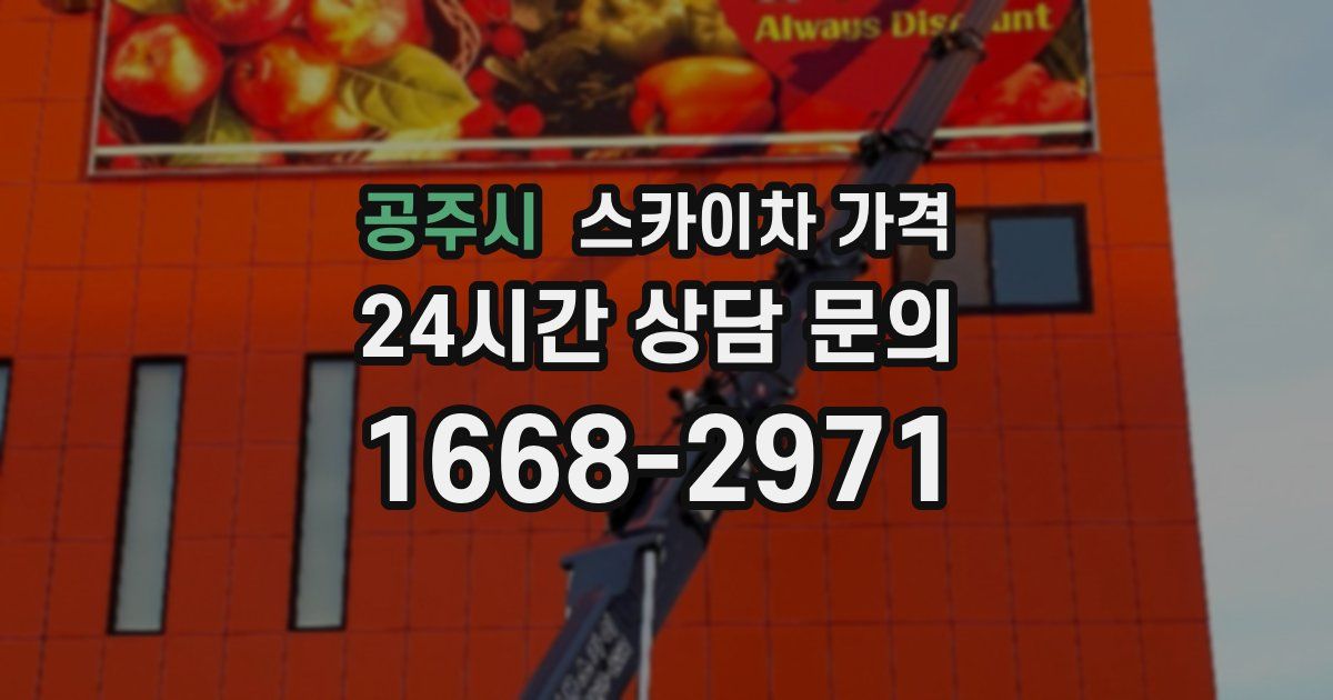 공주시 스카이차 가격