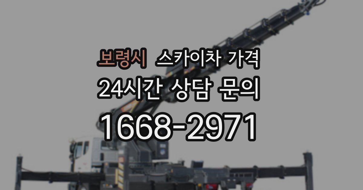 보령시 스카이차 가격
