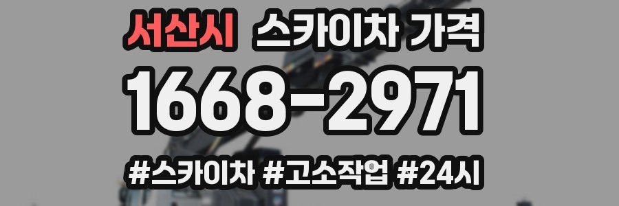 서산시 스카이차 가격