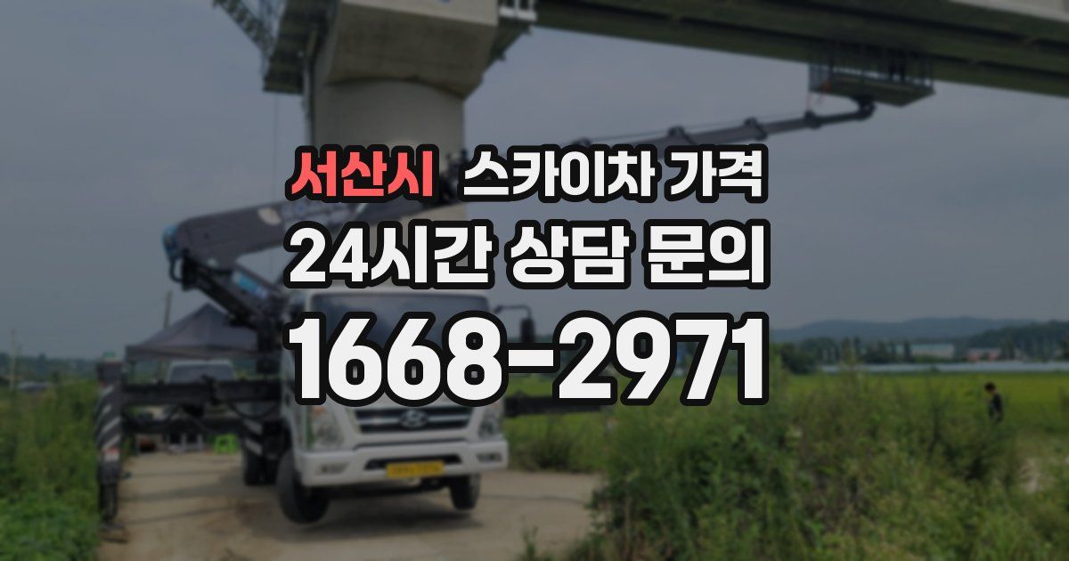 서산시 스카이차 가격