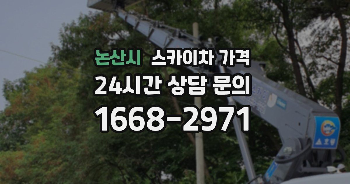 논산시 스카이차 가격