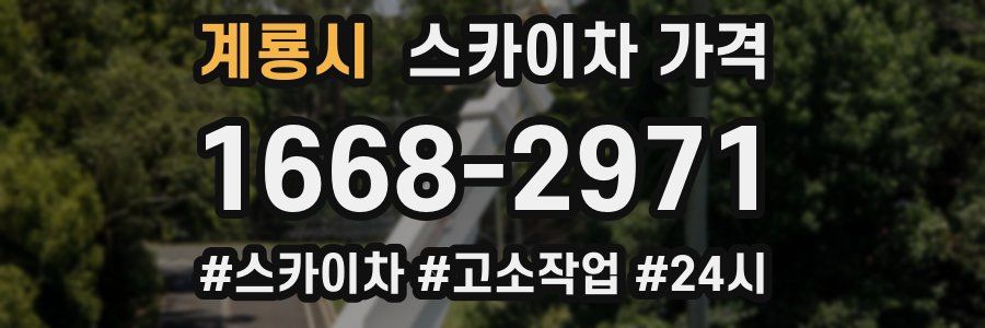 계룡시 스카이차 가격