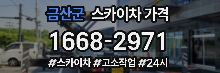 금산군 스카이차 가격