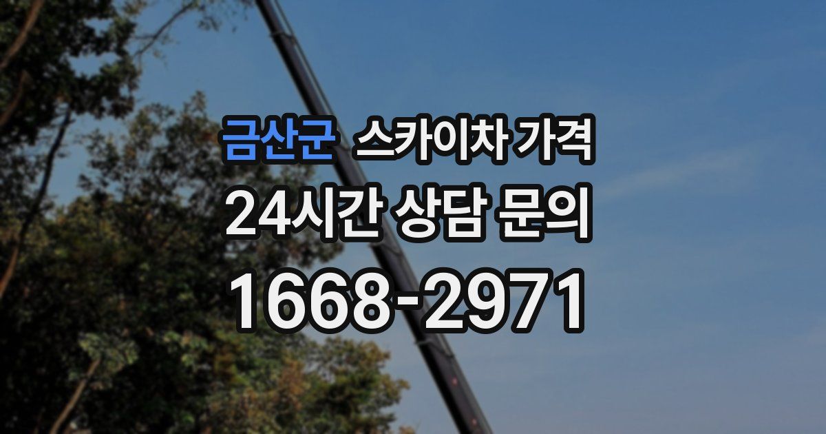 금산군 스카이차 가격