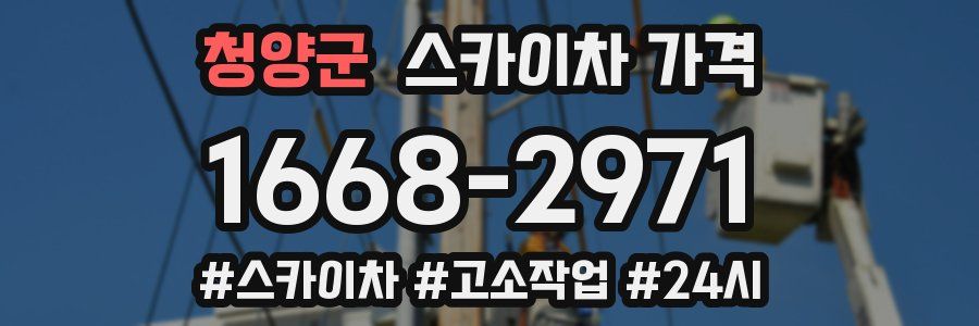 청양군 스카이차 가격