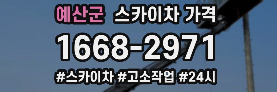 예산군 스카이차 가격