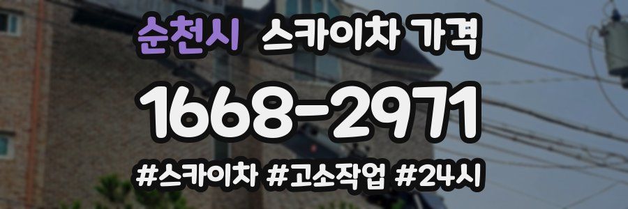 순천시 스카이차 가격