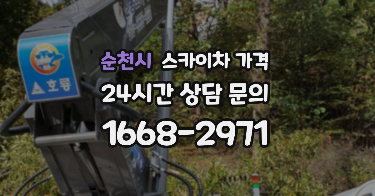 순천시 스카이차 가격