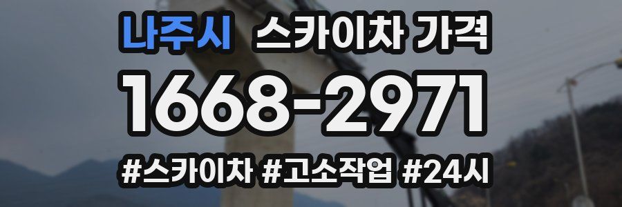 나주시 스카이차 가격