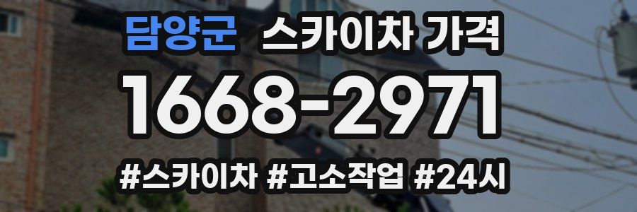 담양군 스카이차 가격