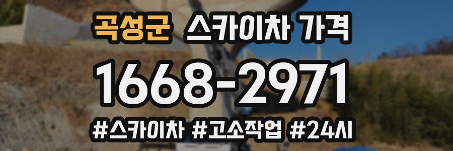 곡성군 스카이차 가격